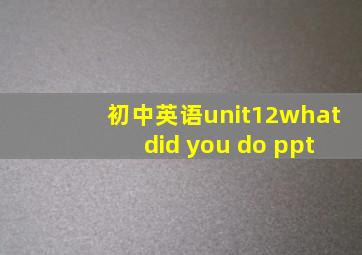 初中英语unit12what did you do ppt